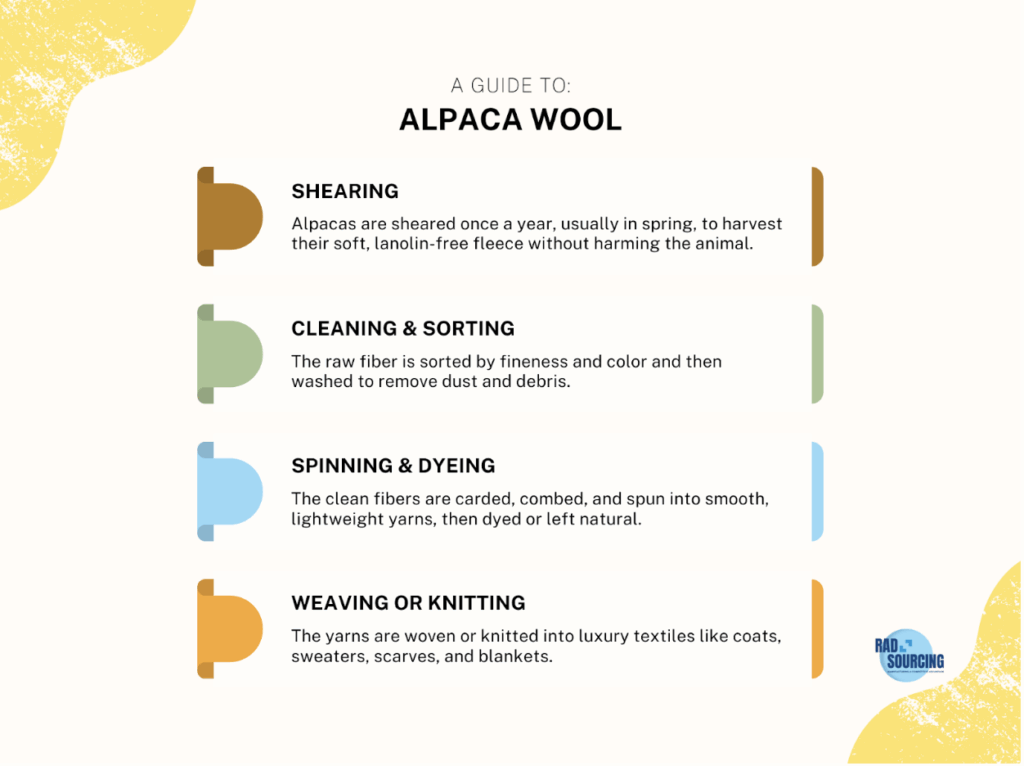 alpaca Wool Infographic