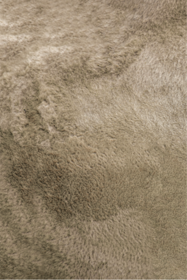  Camel Wool fabric sample 