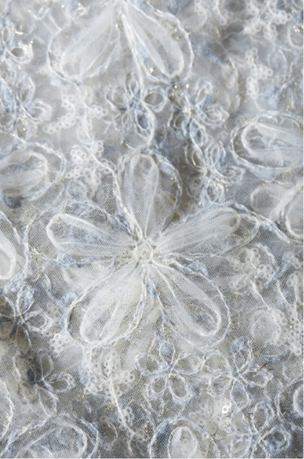 Lace Fabric Sample