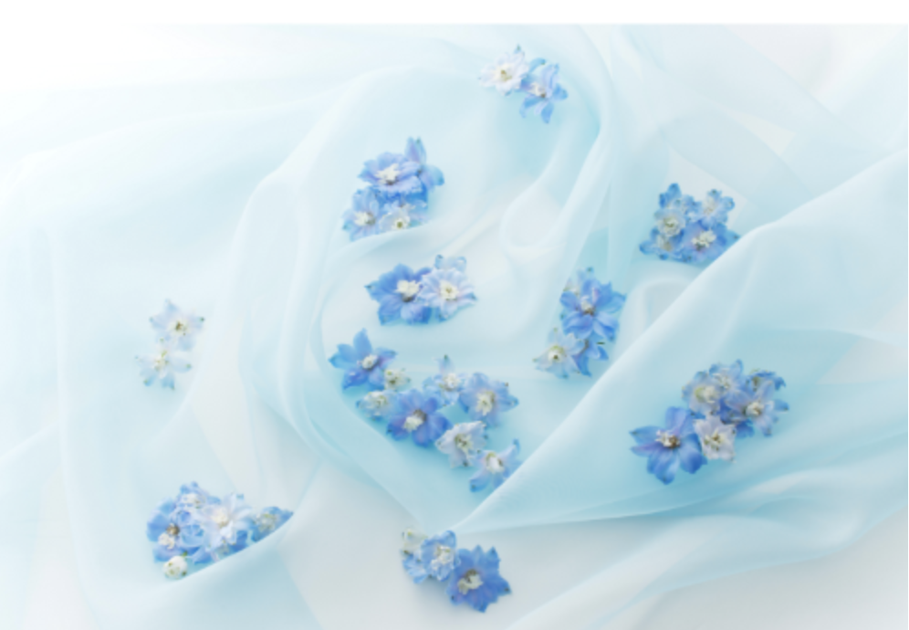 Organdy Fabric Sample