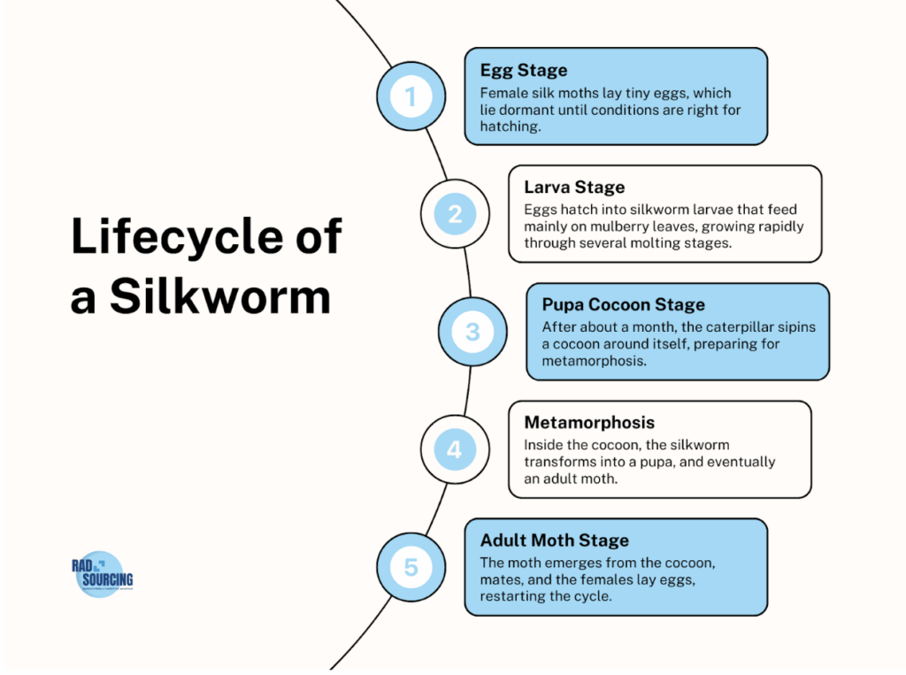 Silk infogrpahic